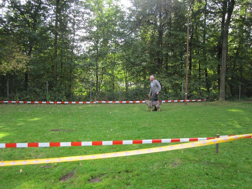 Koerung-2014(31).jpg