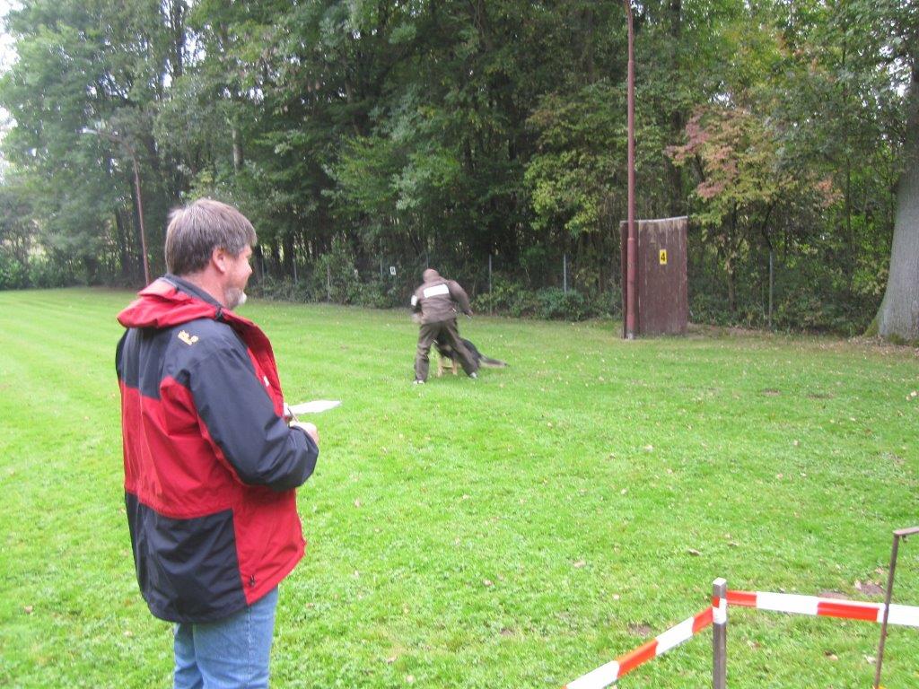 Koerung-2014(35).jpg